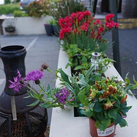 Mountainview Bed & Breakfast Ballyward Bagian luar foto