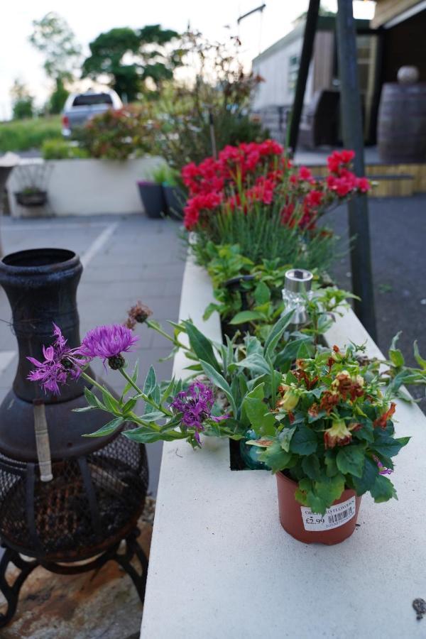 Mountainview Bed & Breakfast Ballyward Bagian luar foto